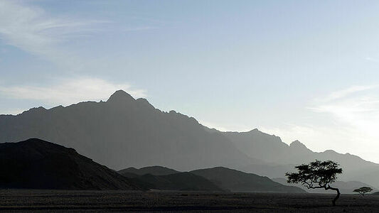Mountains and a lonely tree at sunset in the desert.