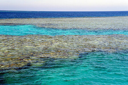 Turquoise color of the Red Sea water.