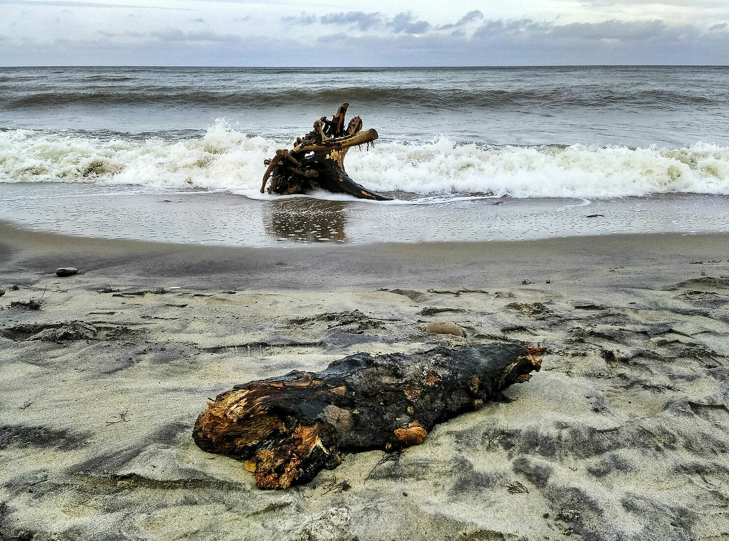 Фото, просто фото. Пейзажи. After the storm The storm in the Baltic is over. Fragments of long-dead trees are raised from the depths, like memories of past times.